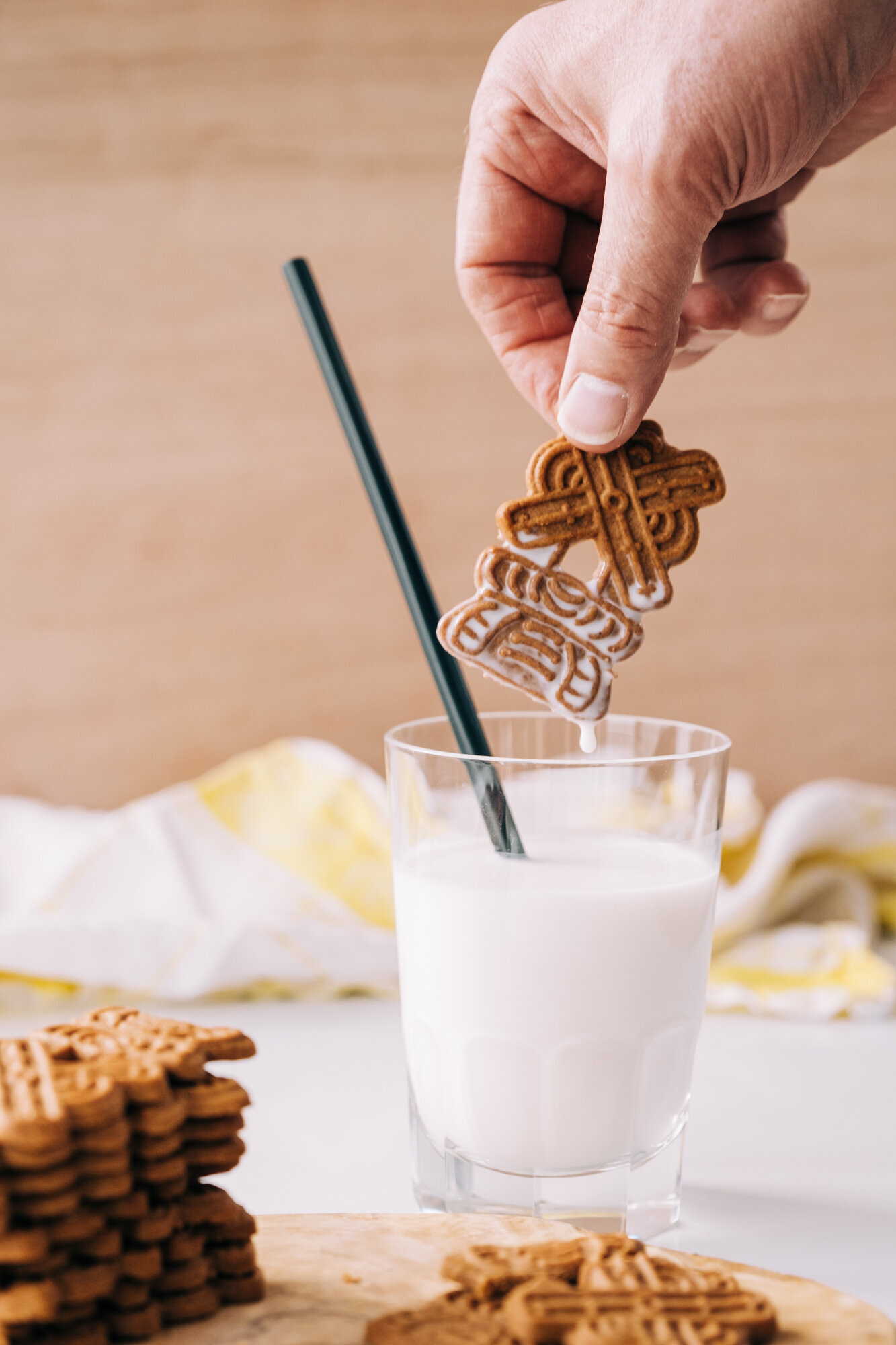 Cookies and Milk Copyright Emily Breedveld-5