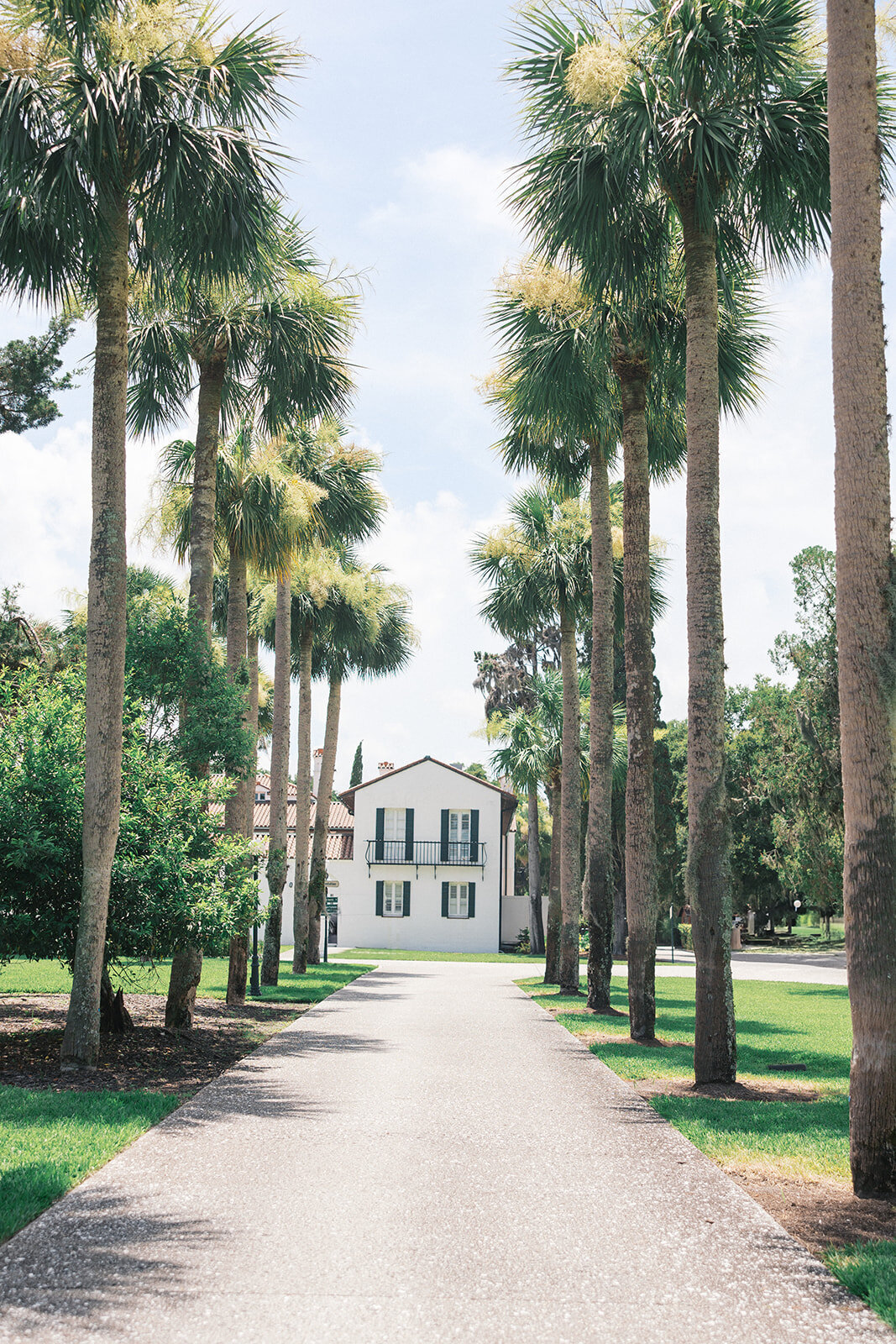 Tall palm trees line the driveway of Crane Cottage coastal wedding venue at Jekyll Island Club Resort