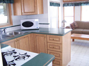 Grizzly Cabin Kitchen Space