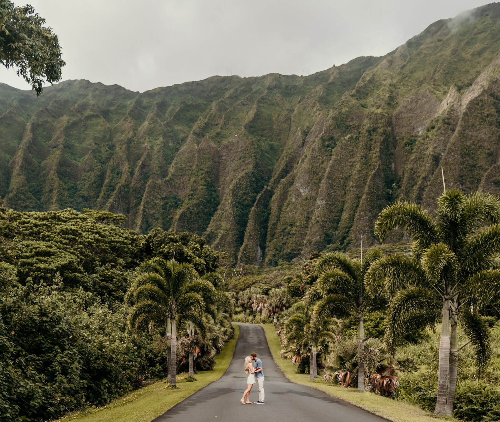 EN Hoʻomaluhia Botanical Garden (12 of 271)