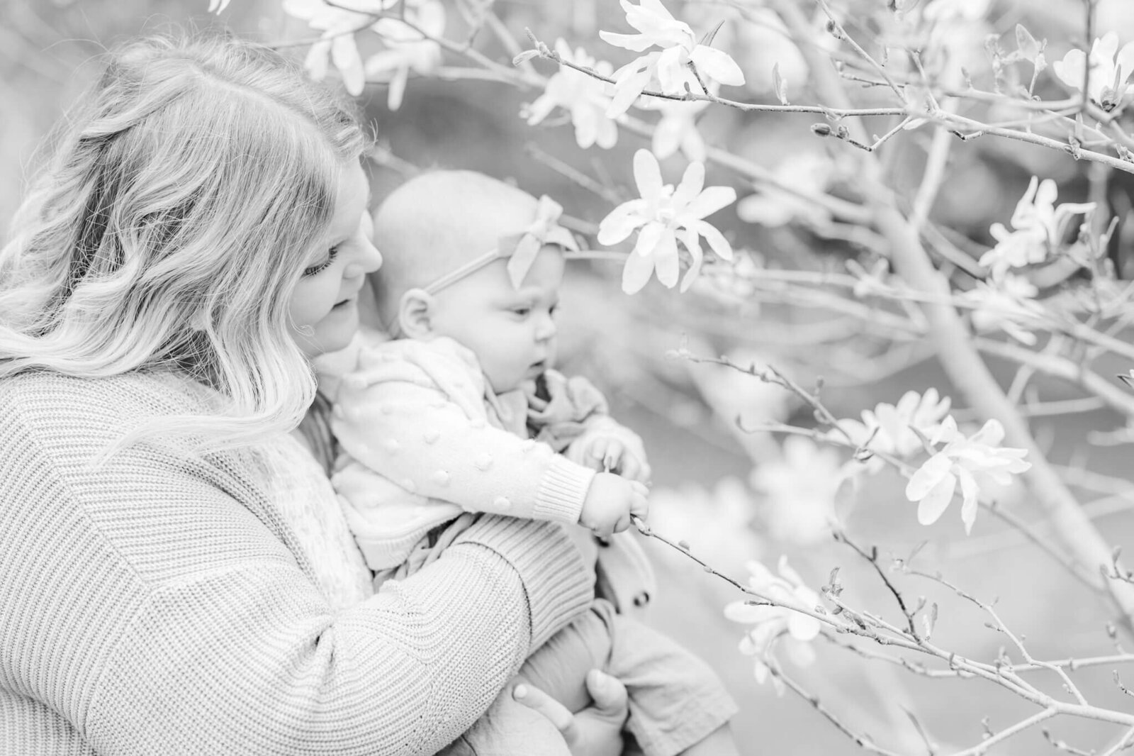 Boston-Family-Photographer-at-Arboretum-7