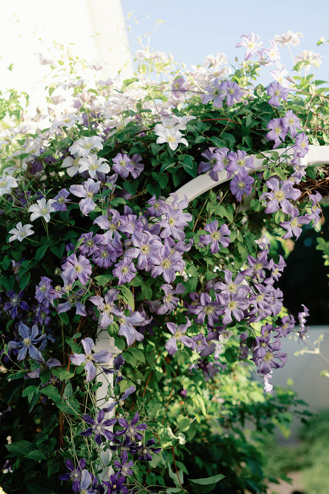 DSC00432_websize (1)
