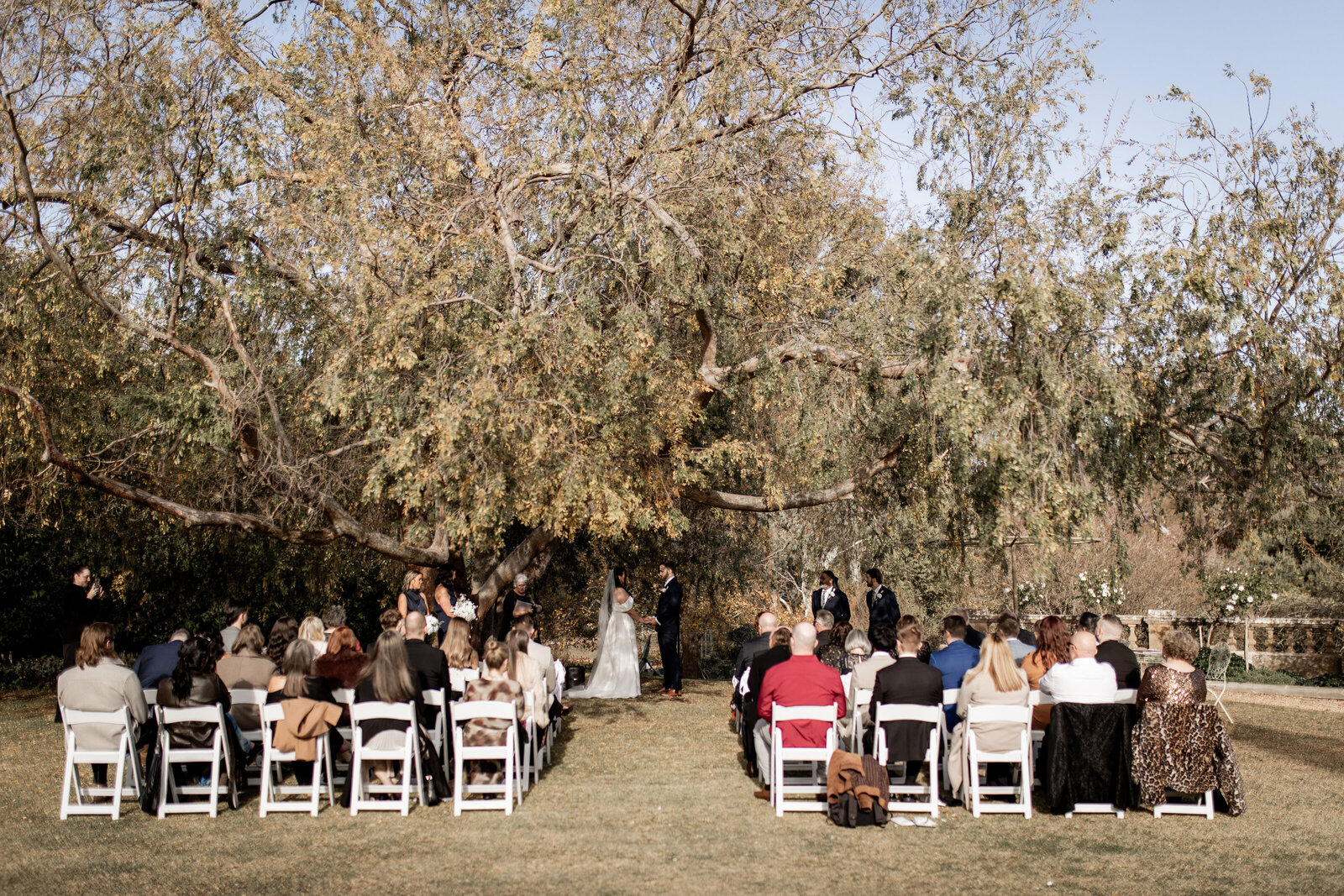 250612-Lucy-Brandon-Rexvil-Photography-Adelaide-Wedding-Photographer-320