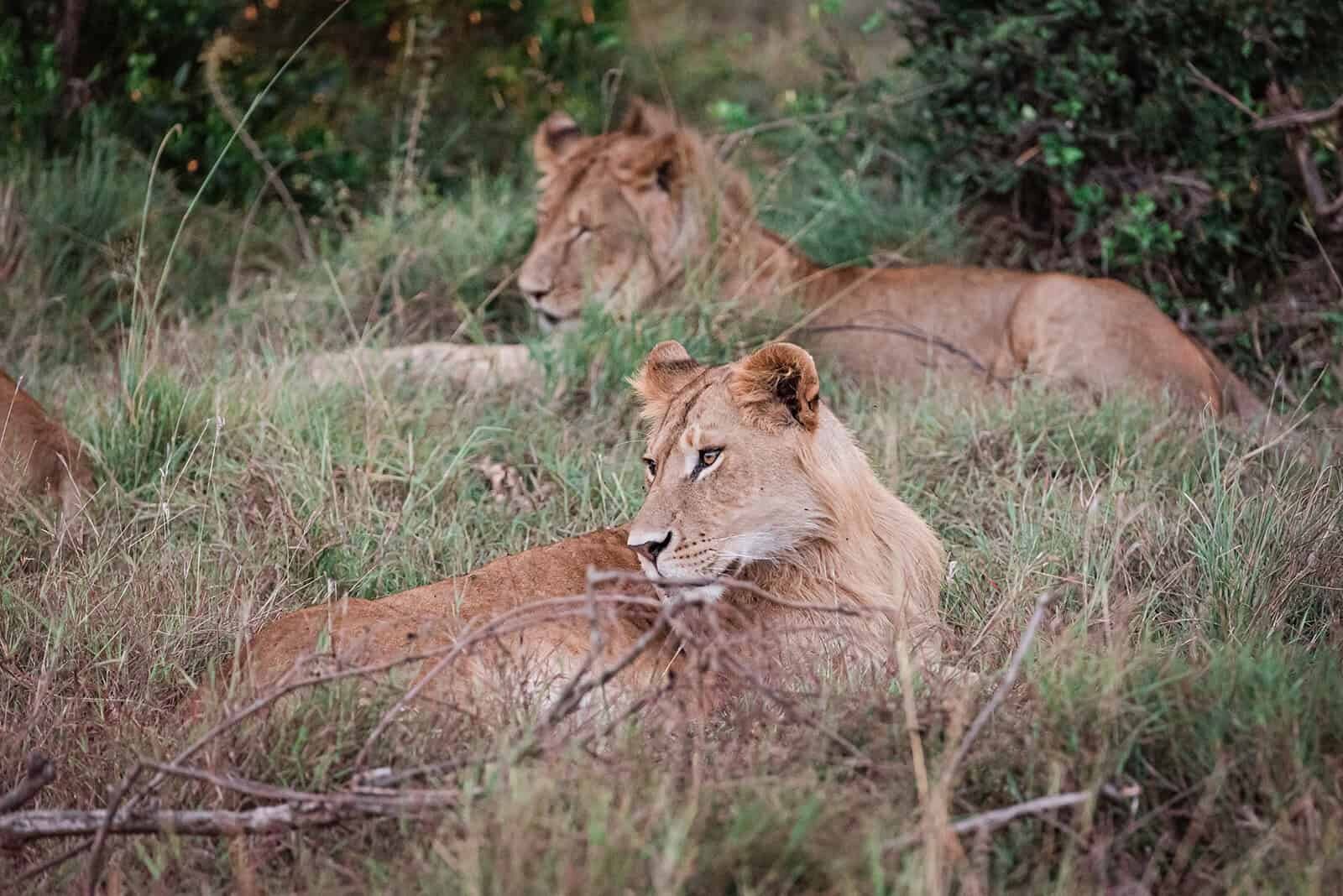 Kenya-Top-Destination-elopement-photographer-for-luxury-multi-day-weddings-Soul-And-Sky-Weddings-19