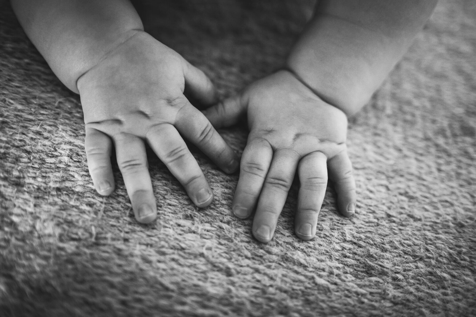 black & white image of chubby baby hands