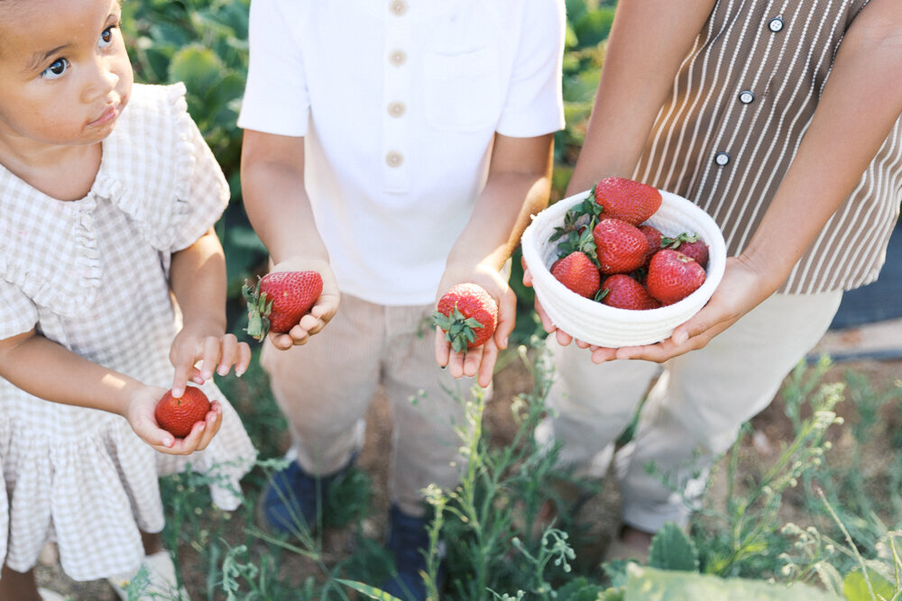 Kid_Activities_Sacramento-kelsey-krall-photography-28