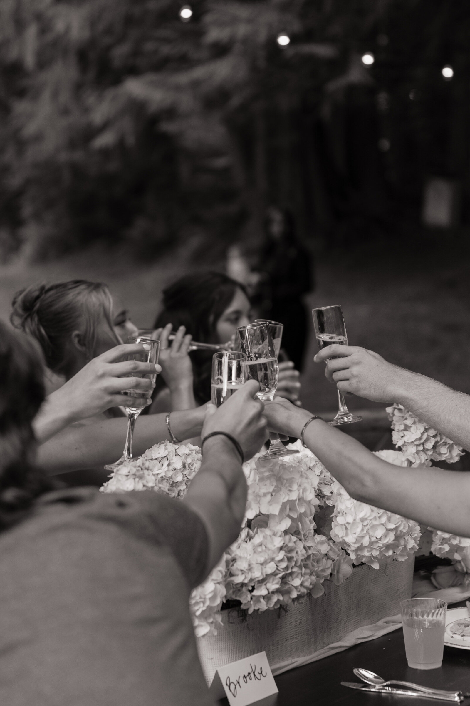 Guests raise glasses in a toast at Washington wedding reception in the woods