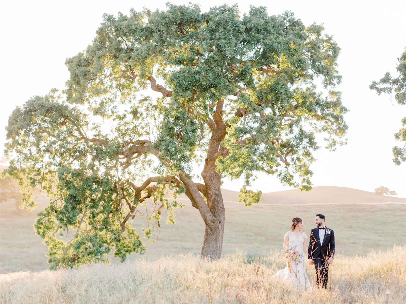 bride and groom holding hands under a large old tree in the middle of a large field