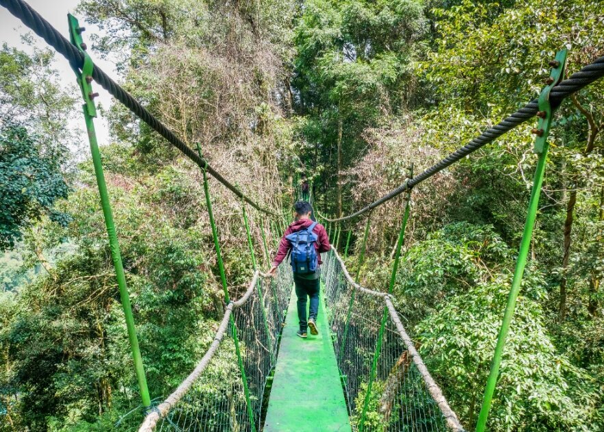 Indonesie-Sumatra-Canopy-Trail-Bukit-Lawang