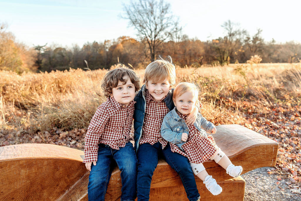Three young children wearing coordinating gingham shirts sit together on a wooden bench during autumn, photographed by a Connecticut Family Photographer in a golden field setting