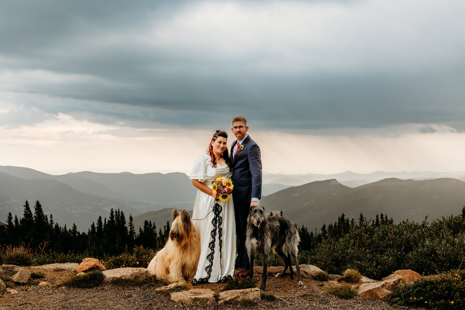 Denver Wedding Photographer captures couple with pups on wedding day