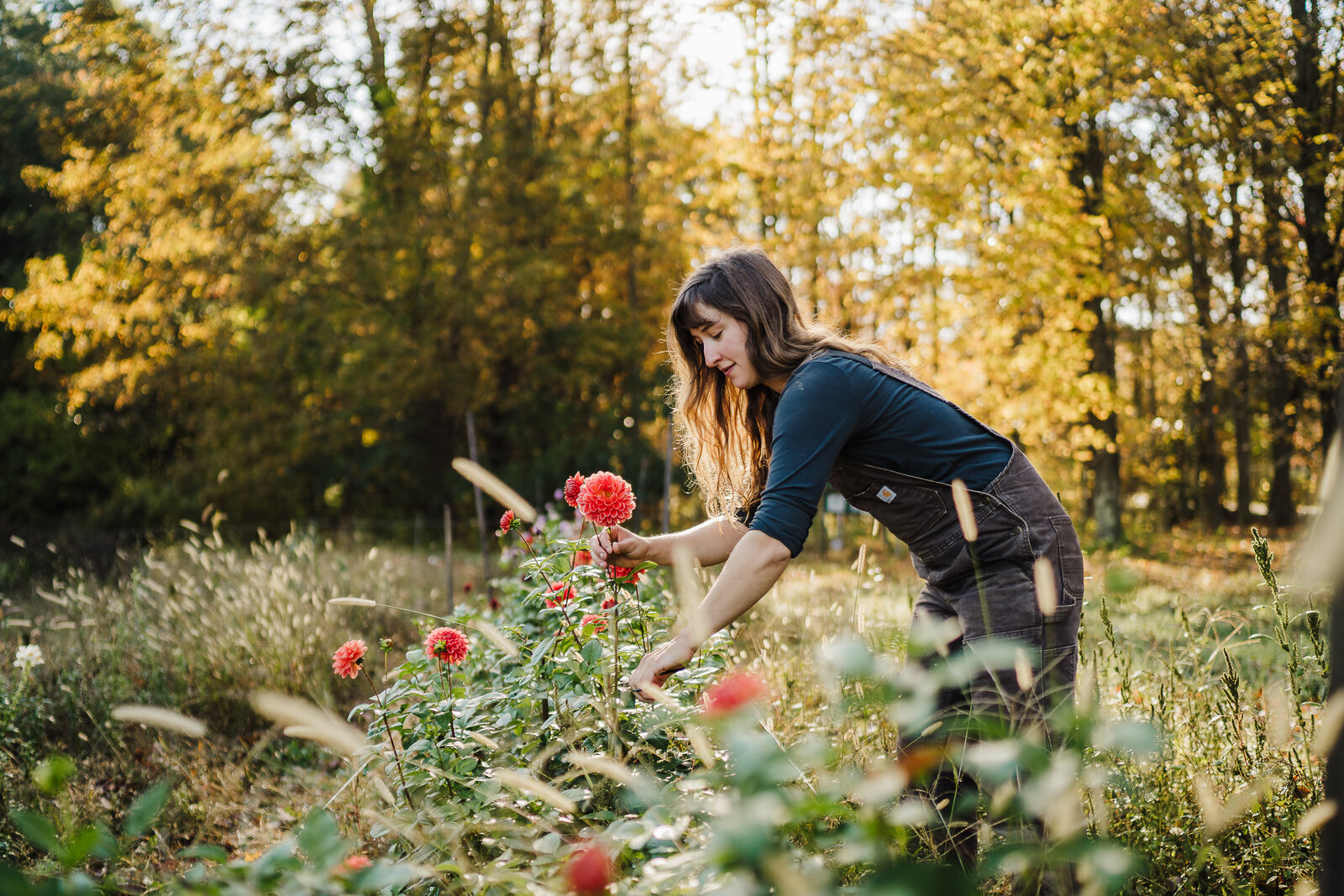 flower farmer tends to her fields during branding photoshoot in boston