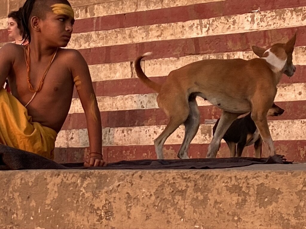 Yoga Trainee and dog  Varanasi