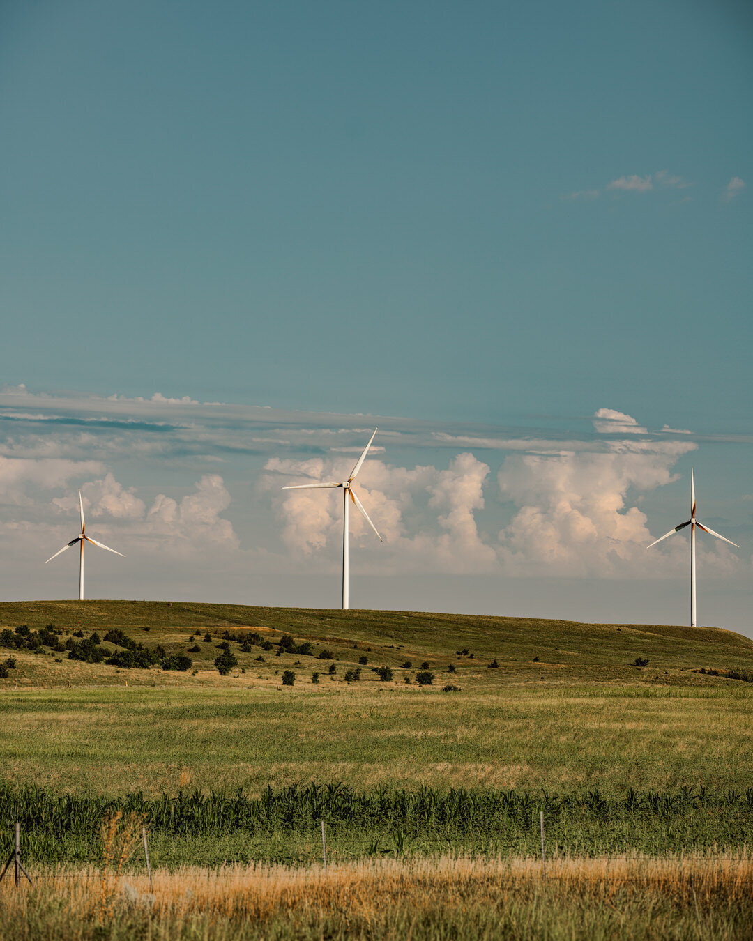 Resolute Territory - Landscape Art Prints - 1