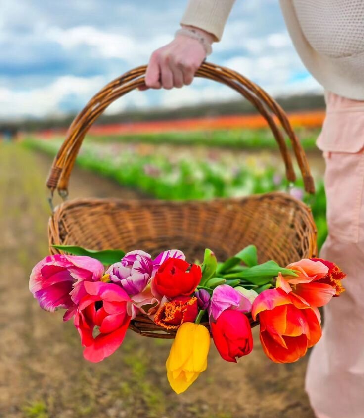 talk tulips to me 