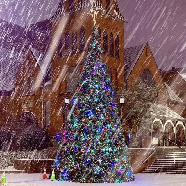 593671844_10234075101593970_7175457159992466276_n