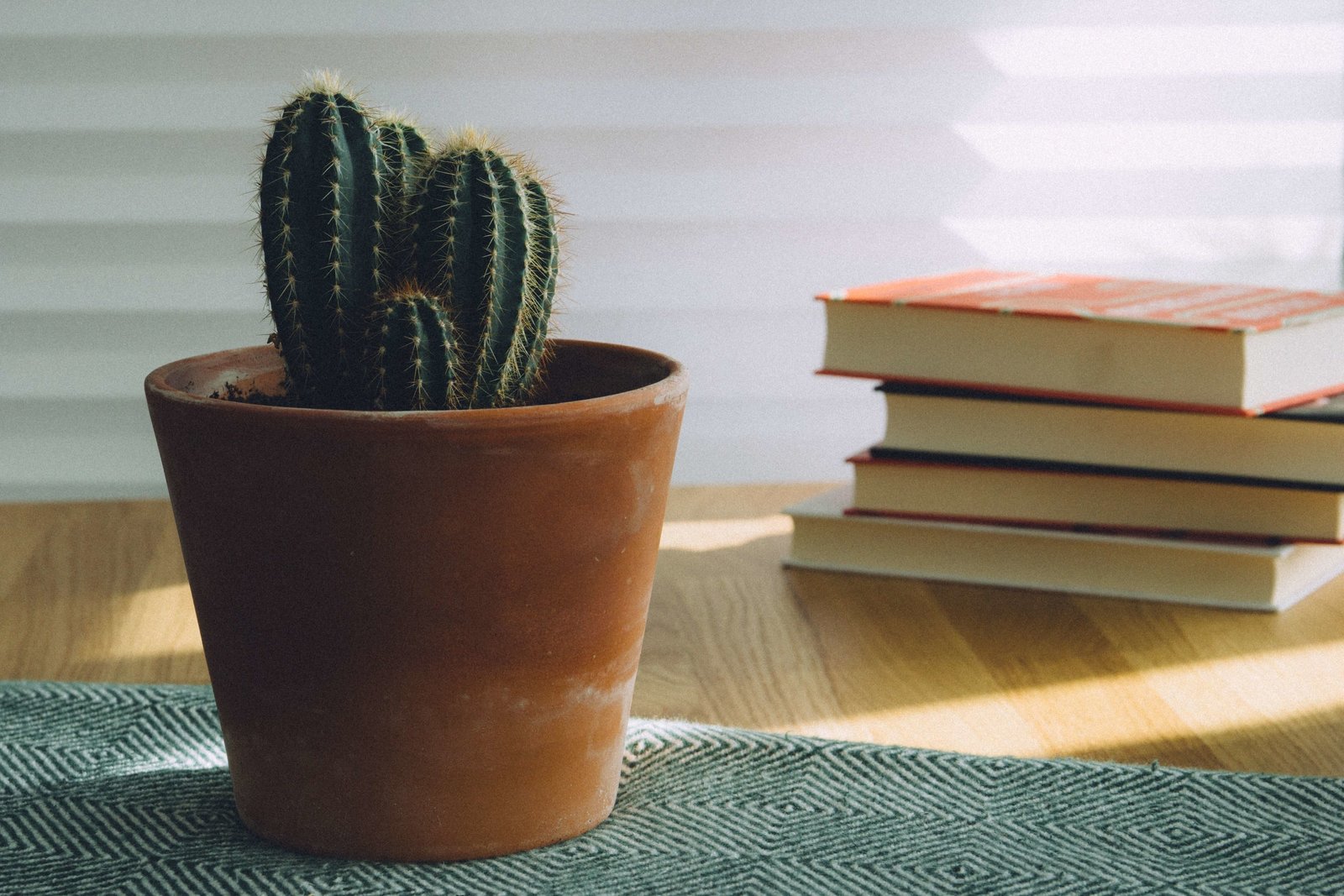 the-bialons-365005-unsplash