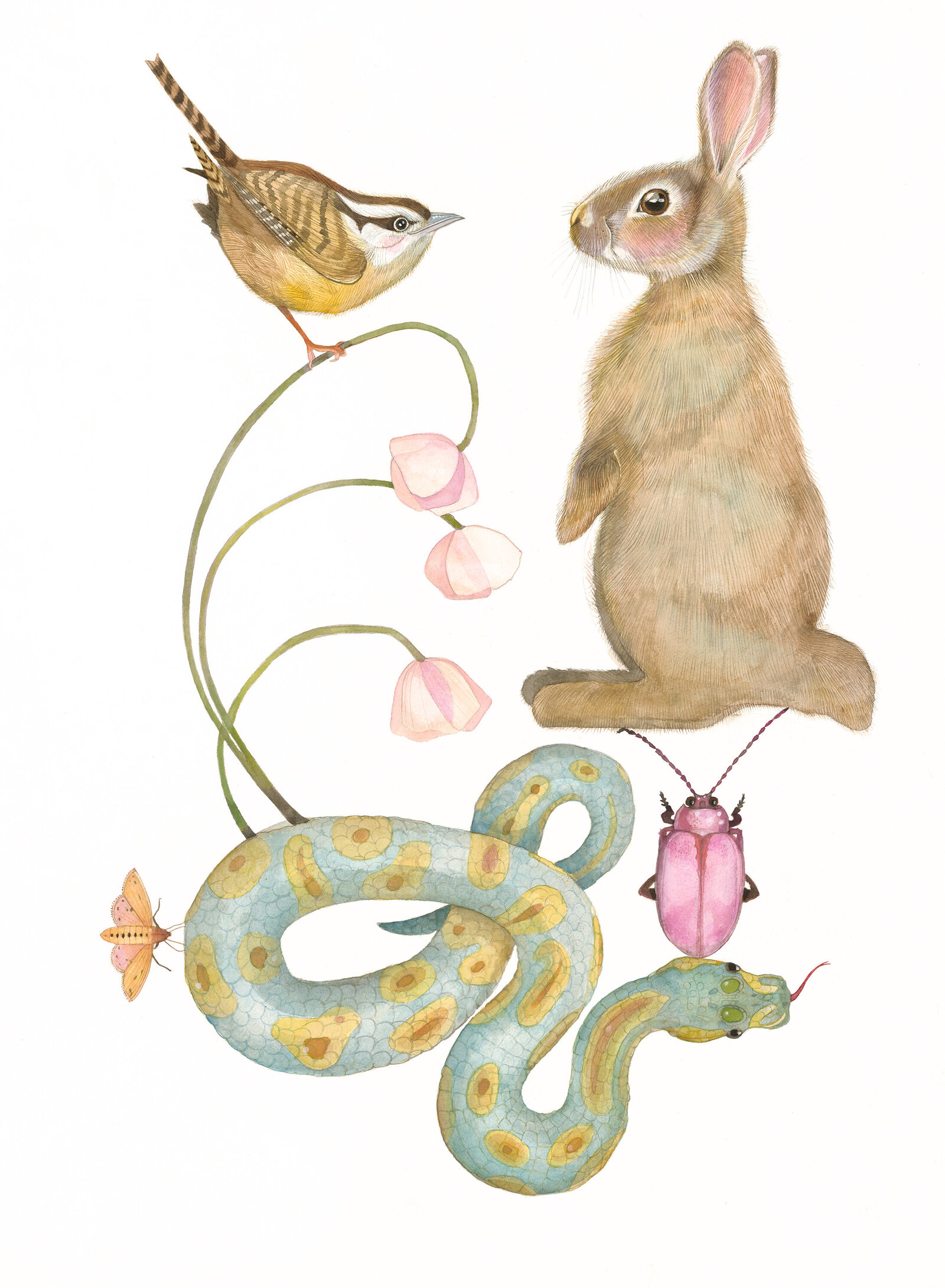 Rabbit and Snake