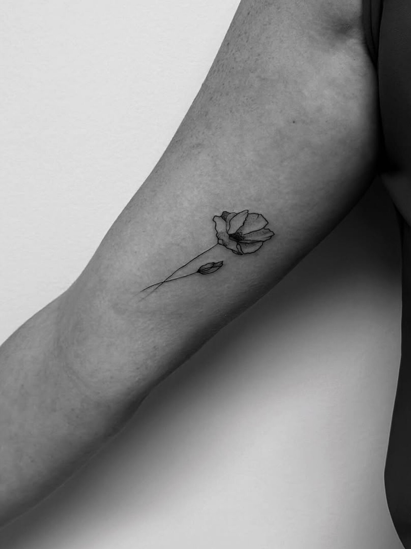 Tigers Eye Collective (5)