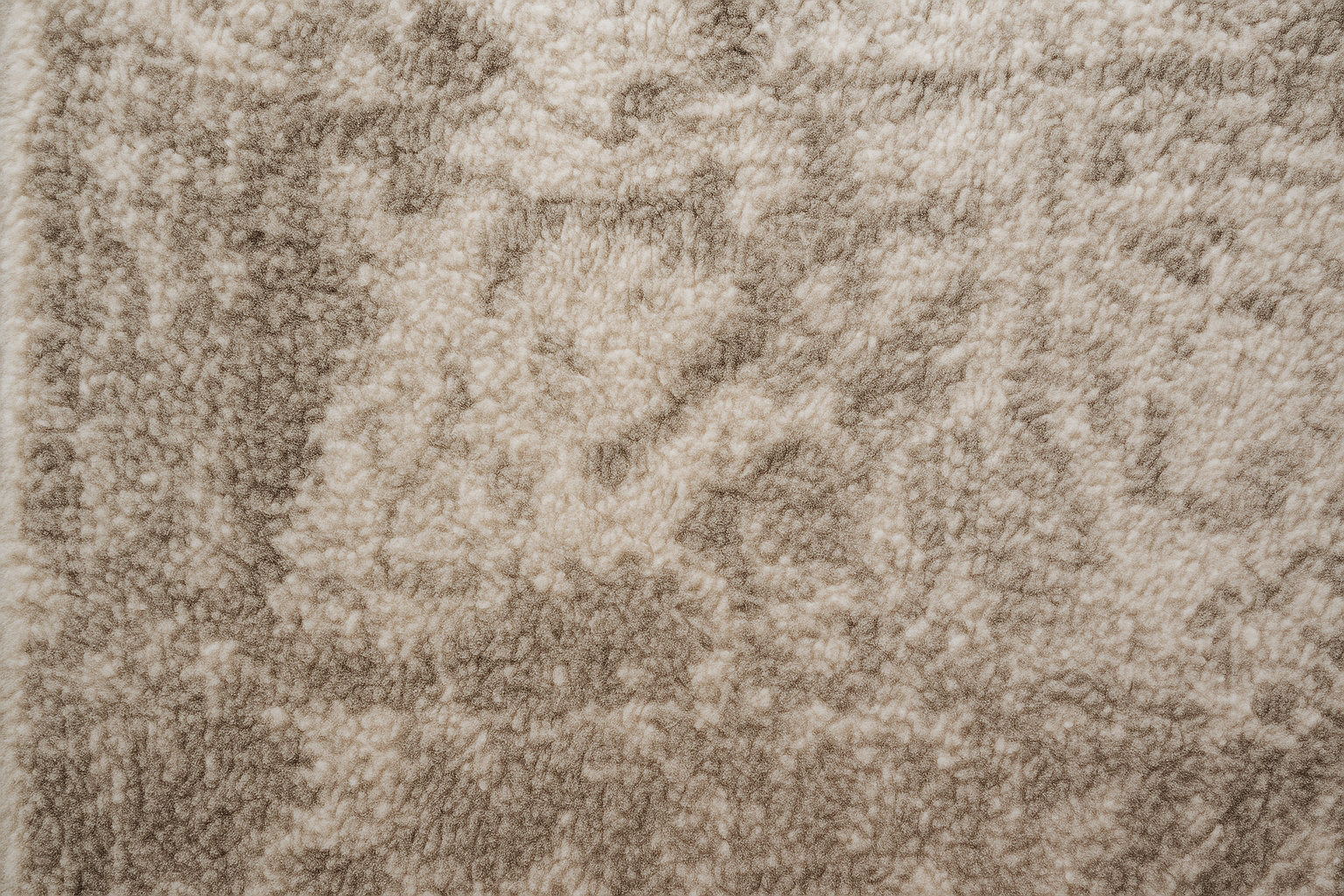ChatGPT Image Oct 7, 2025, 02_20_04 PM