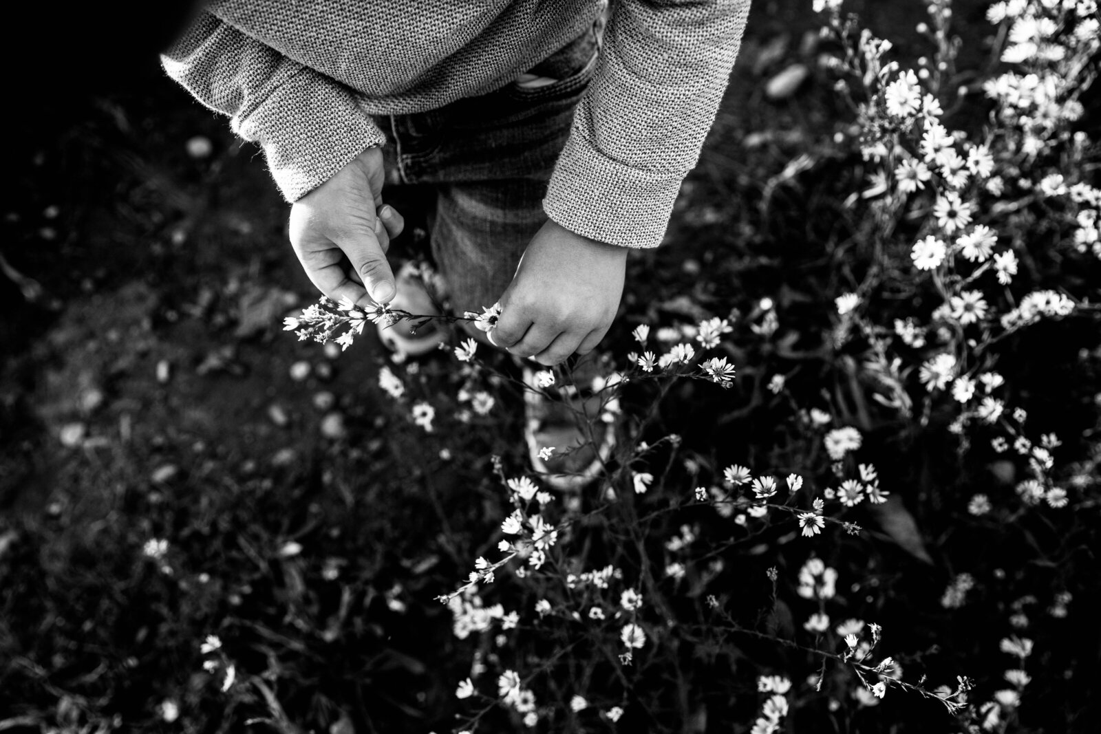 top down view of young boy picking wildflowers