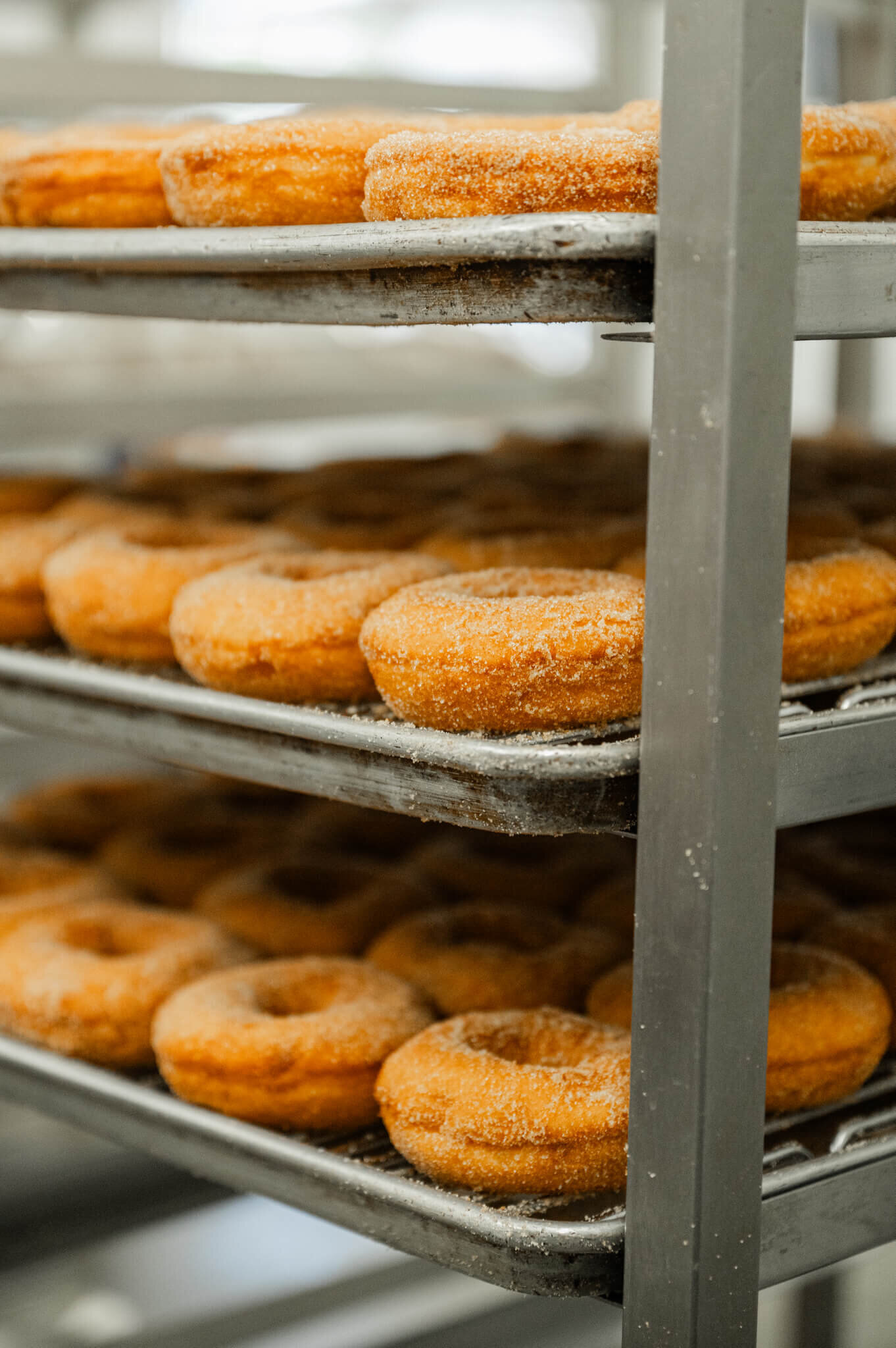 Apple-Cider-Donuts-Richland-Center-Wisconsin-118