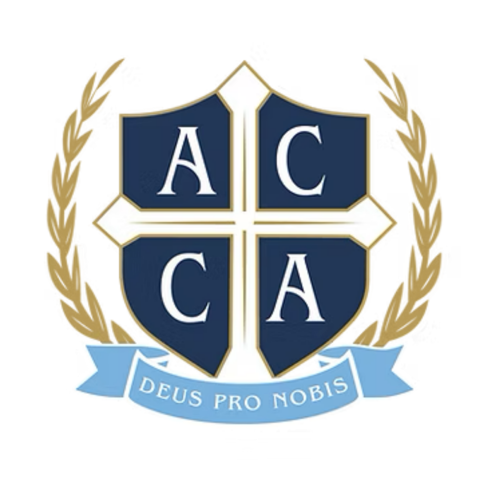 ACCA