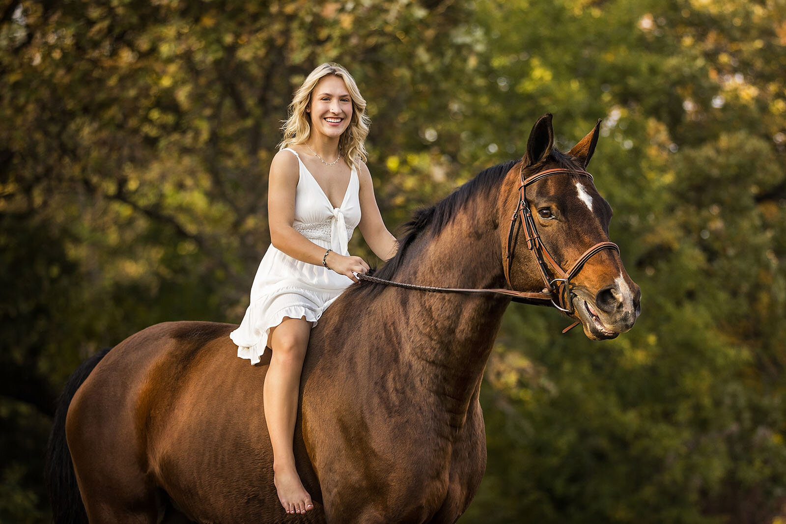 equine-photographer-kansas