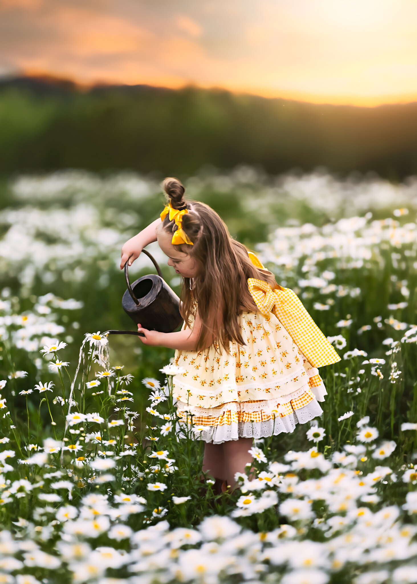 Raleigh-family-photographer-2025-417