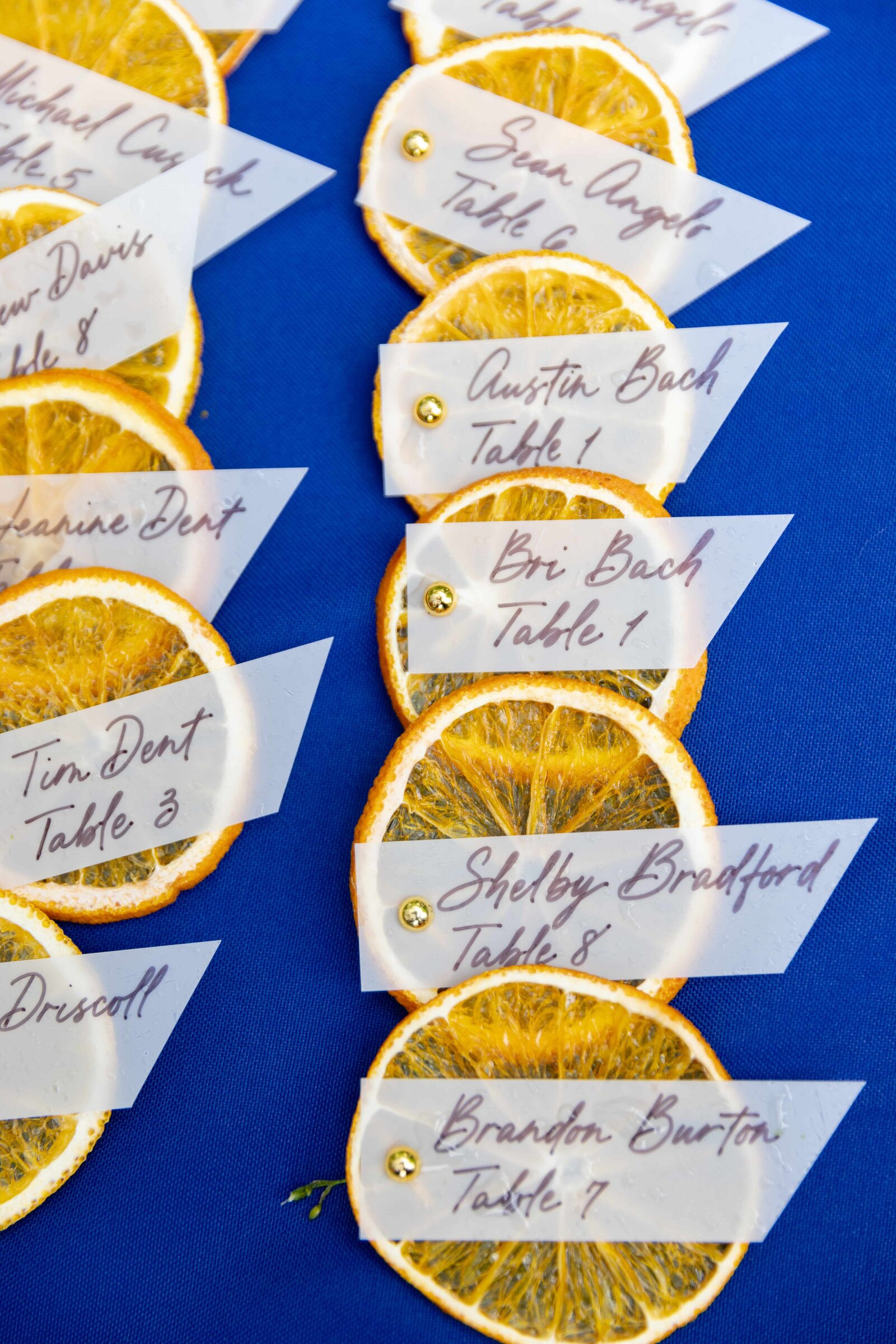 dehydrated-orange-slices-placecards