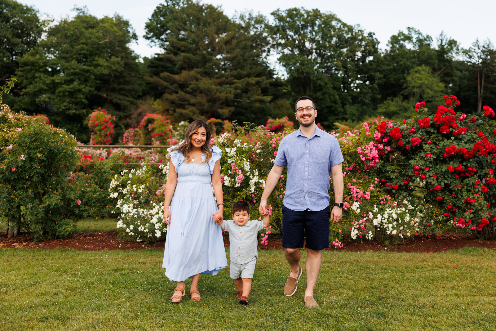 rose-garden-elizabeth-park-family-photos-1