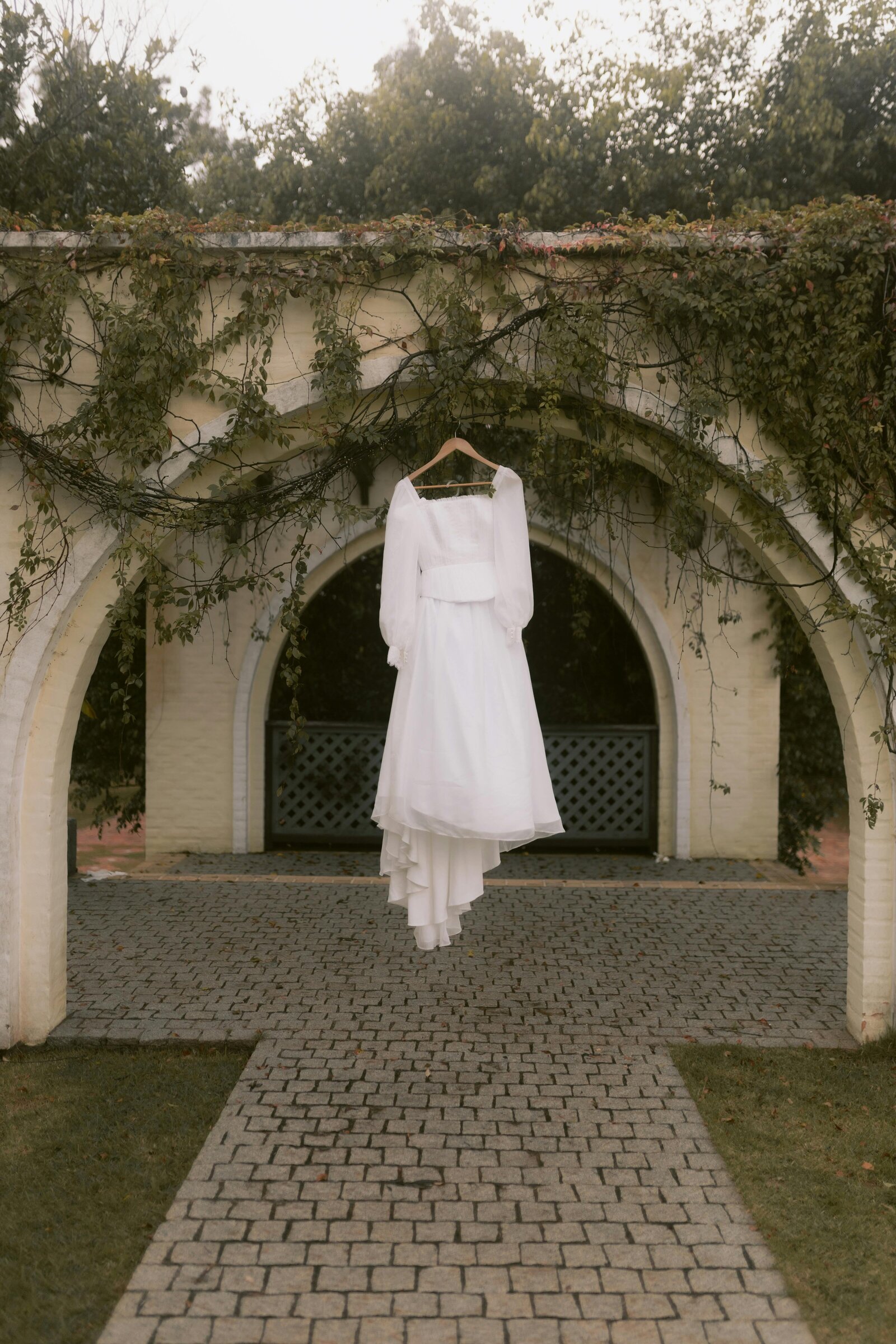 pexels-alexander-mass-748453803-32527843