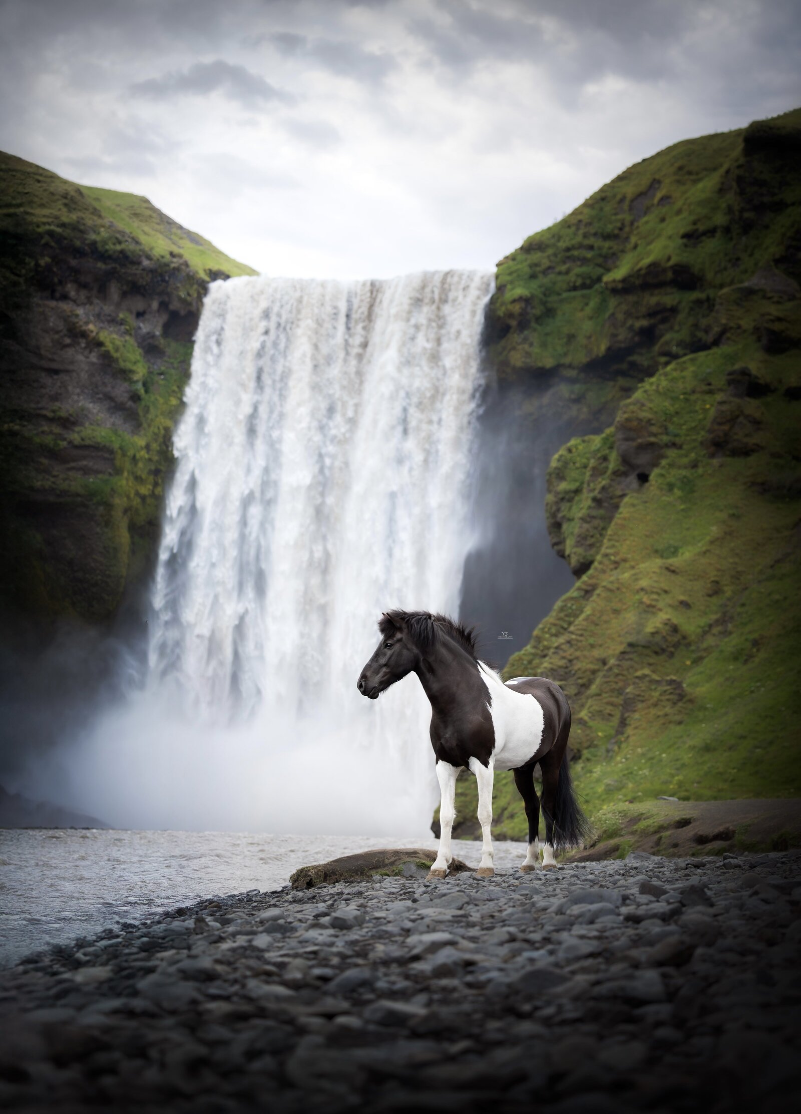 YS243715-Enhanced-NR-Edit