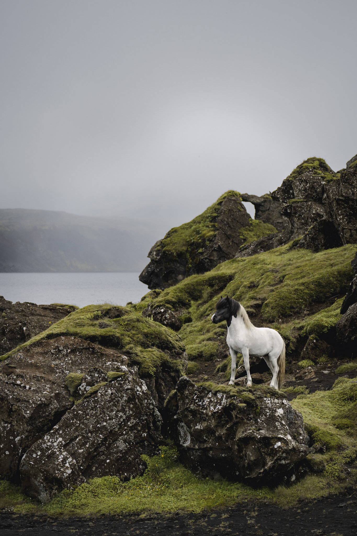 20220722HiltsjeFotografie_kleifarvatn_7643