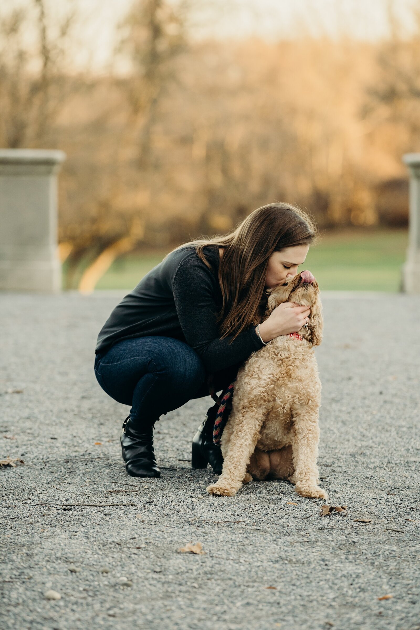 Philadelphia-pet-photographer-037