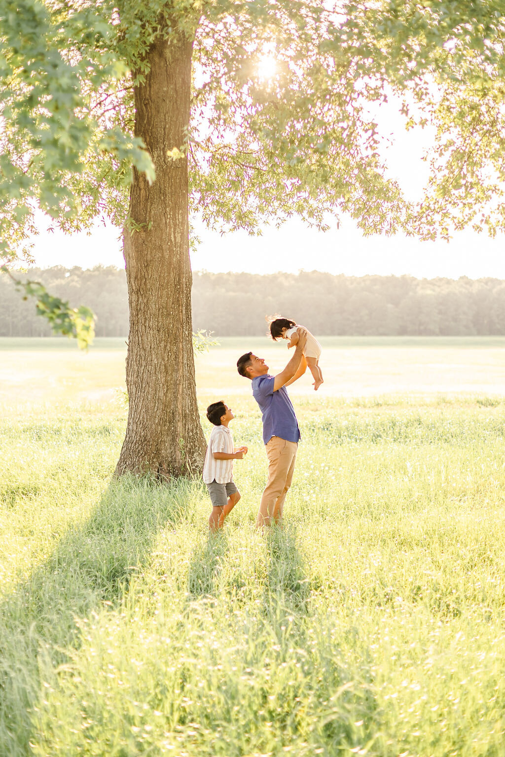 A father stands in a sunlit field beneath a large tree, lifting a young child into the air while another child stands beside him, watching with joy. The scene is bathed in warm golden light, with soft grass and a distant tree line in the background, creating a peaceful, loving family moment.