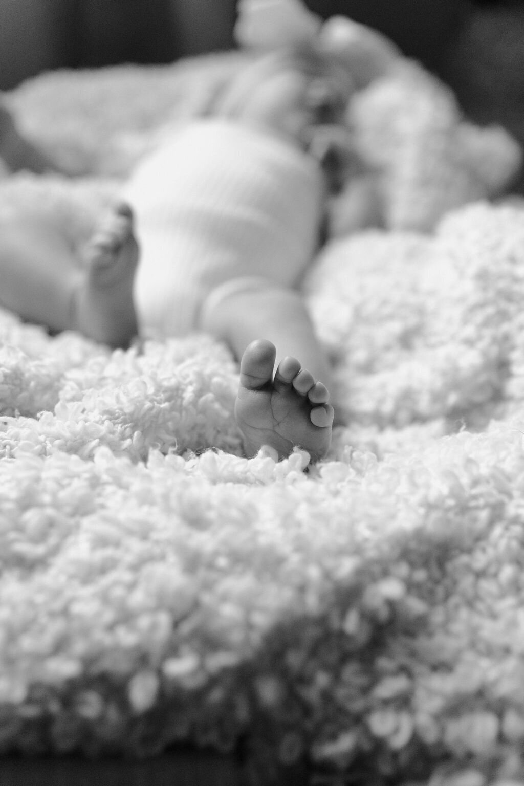 AbigailElizabethPhoto-9771