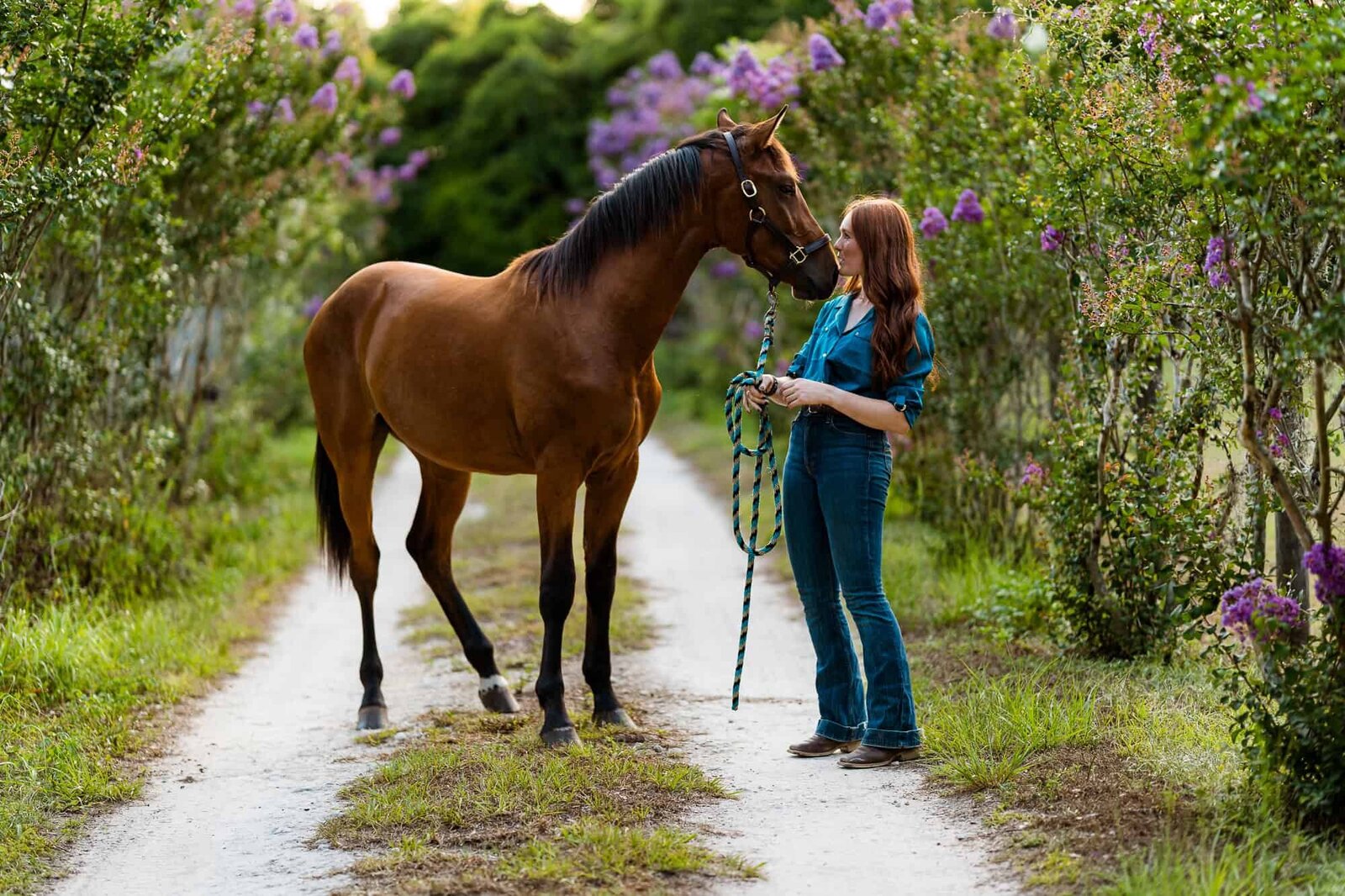 Ocala Horse Photographer