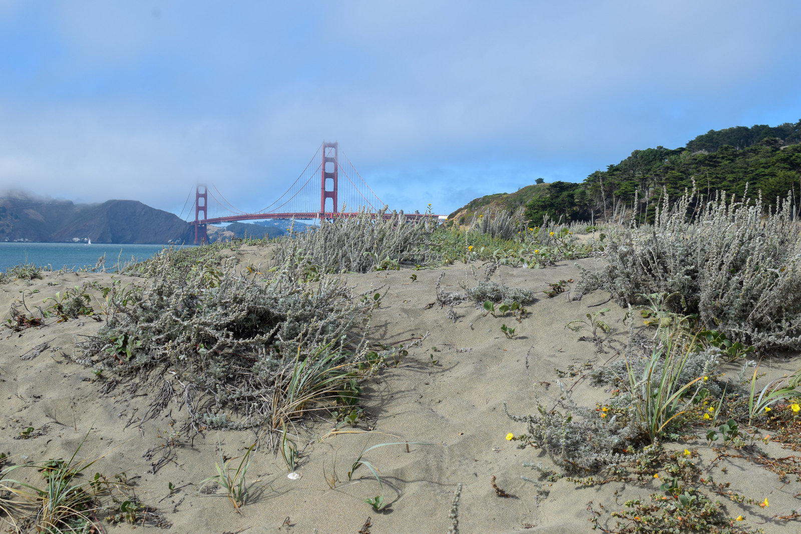 beach dune Golden Gate Bridge San Francisco California