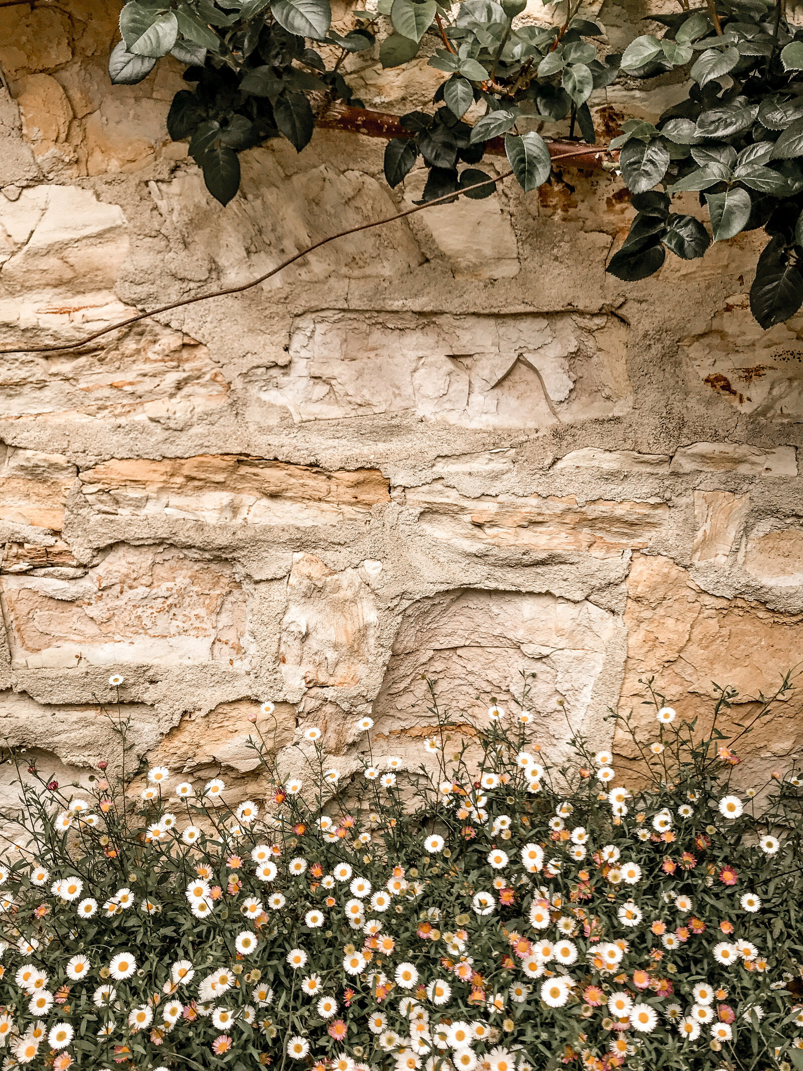 haute-stock-photography-rustic-travel-collection-final-15