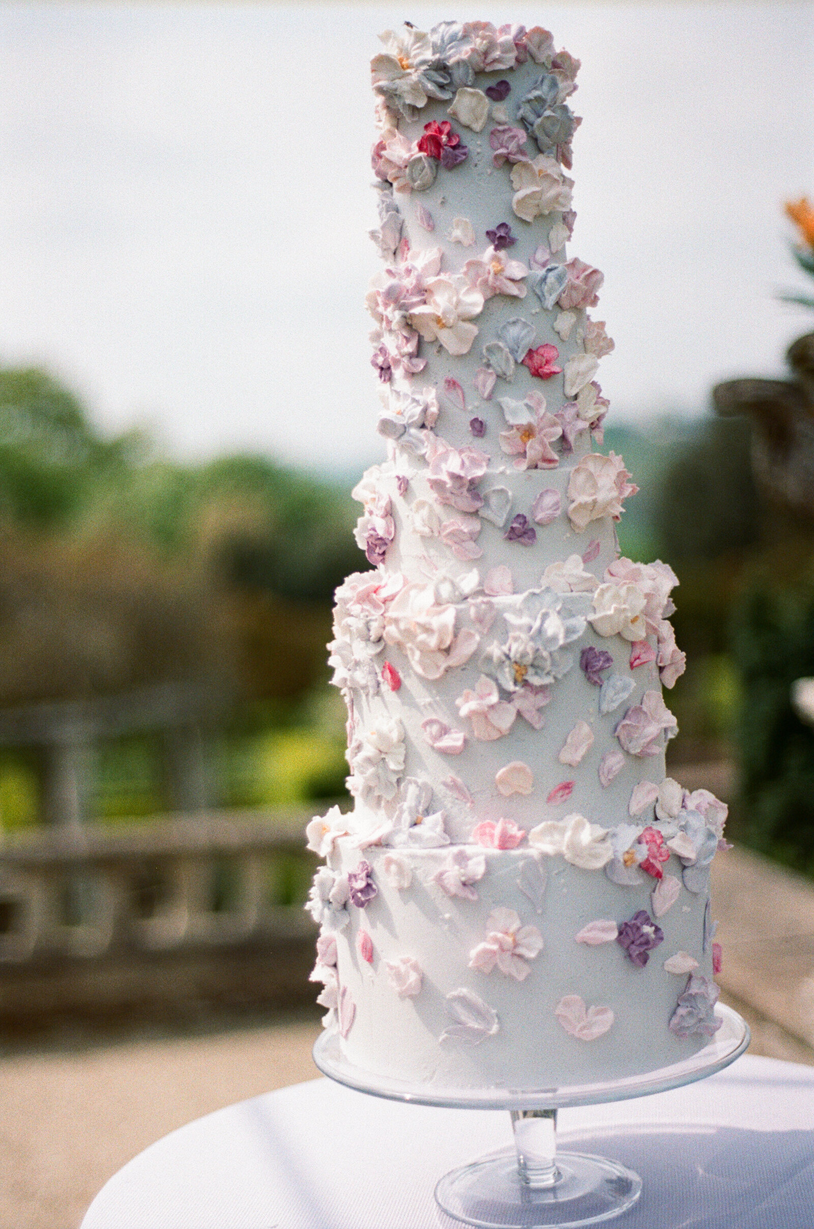 analogue 267 Wedding