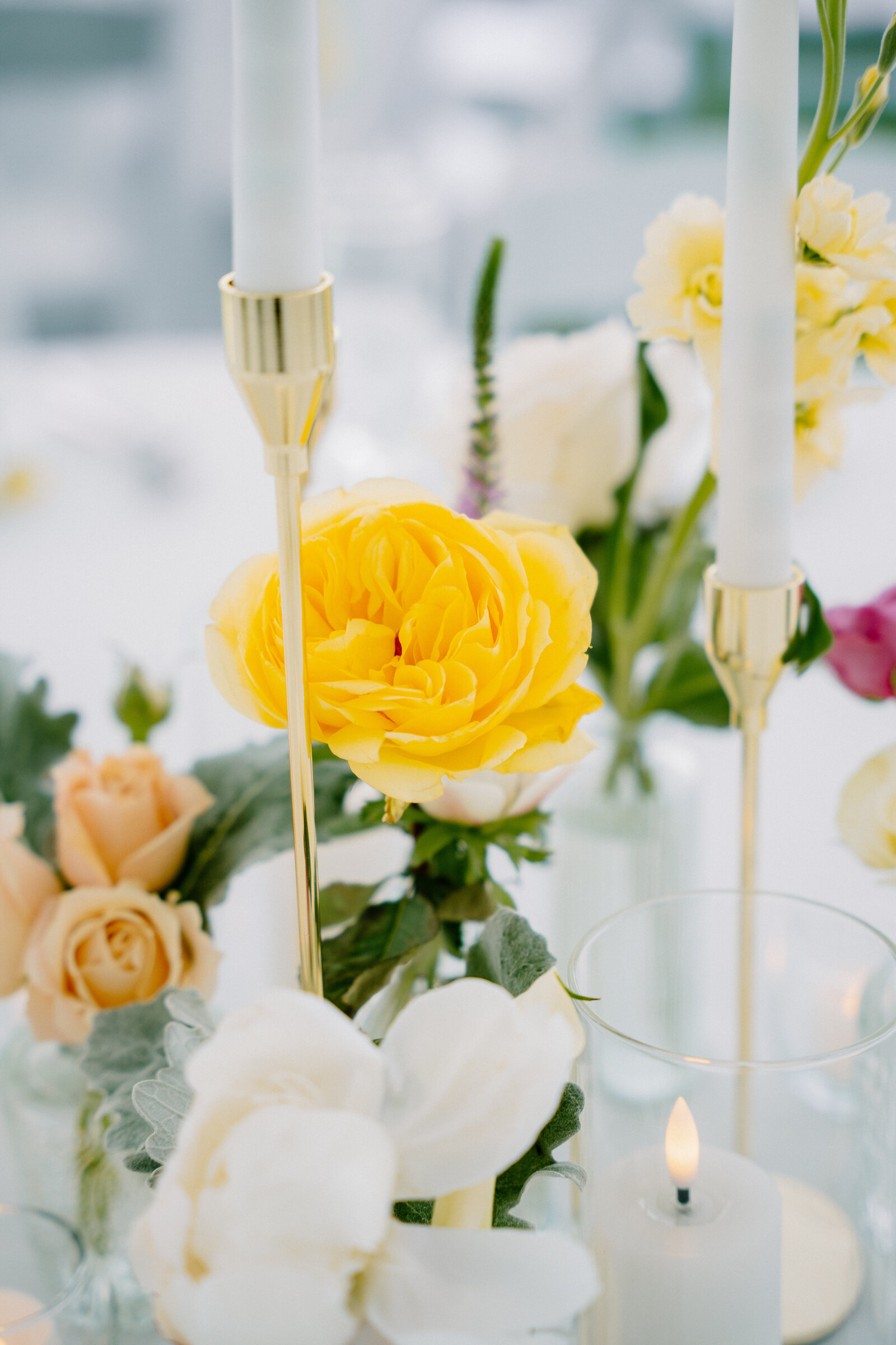 Reception-66