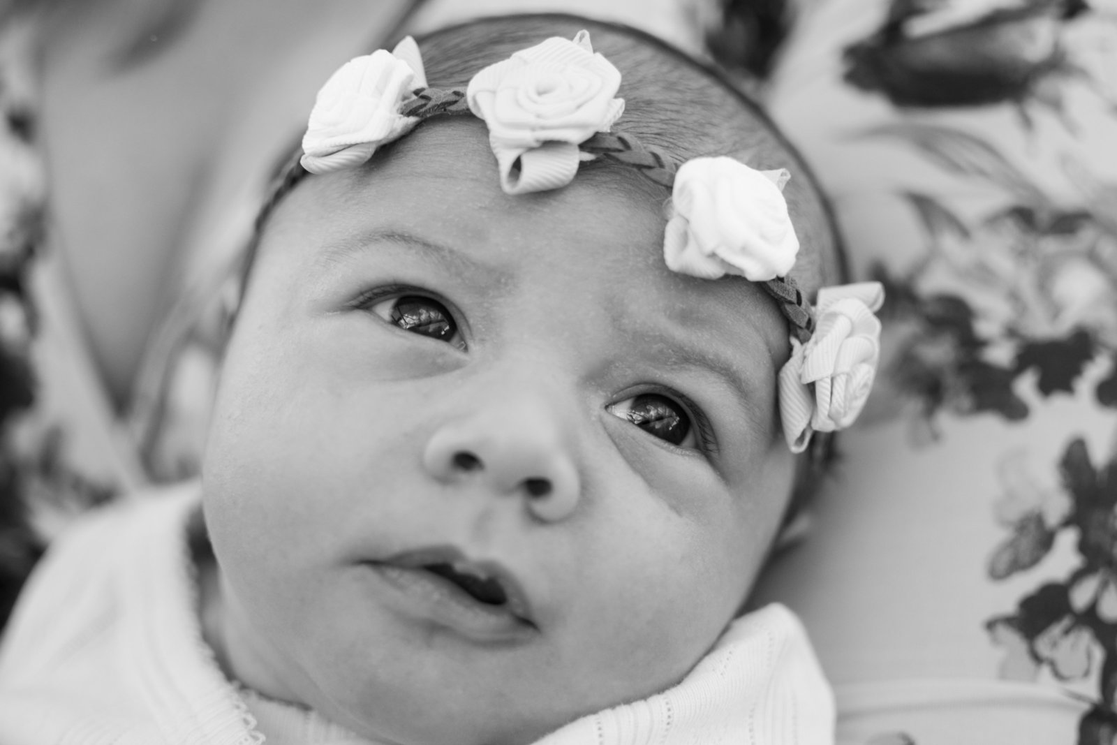 newborn girl floral crown Windermere Florida