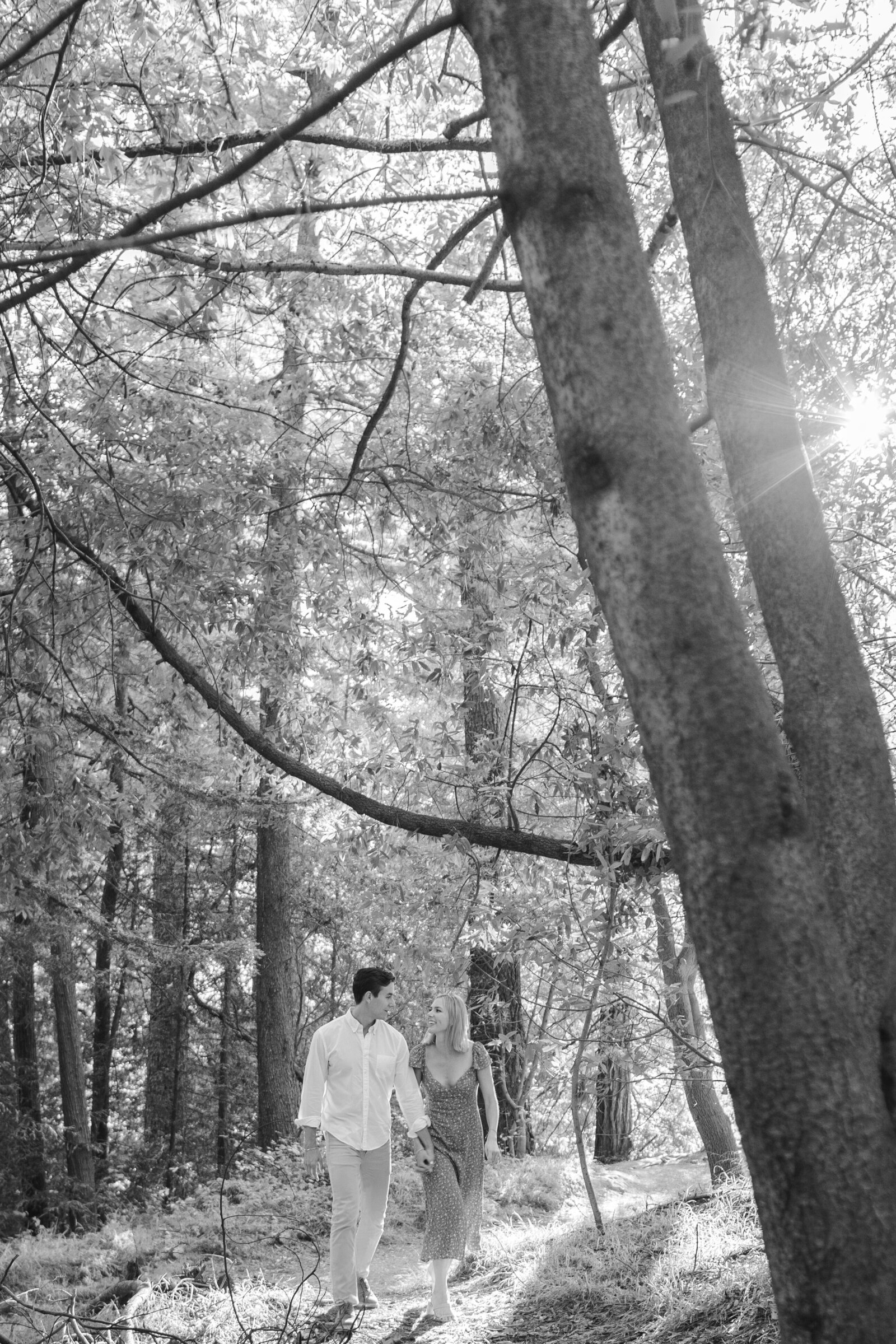 Redwoods-Orinda-California-Engagment-Photos_0028