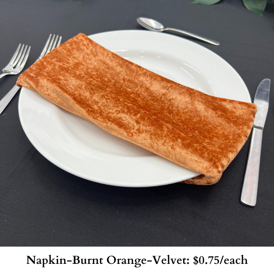 Napkin-Burnt Orange-Velvet-947