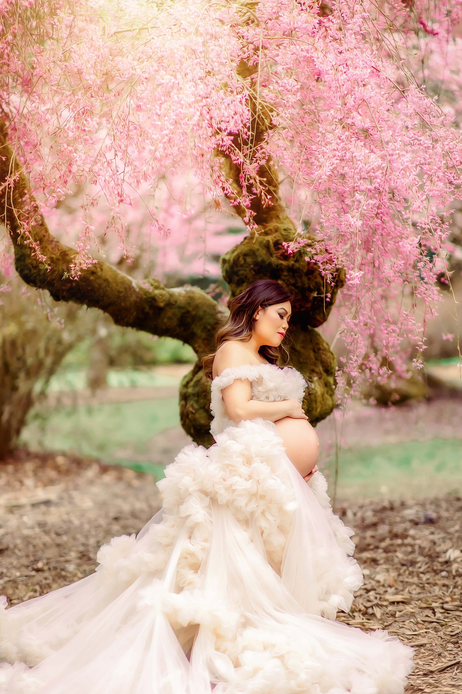 Cherry Blossom Maternity Seattle