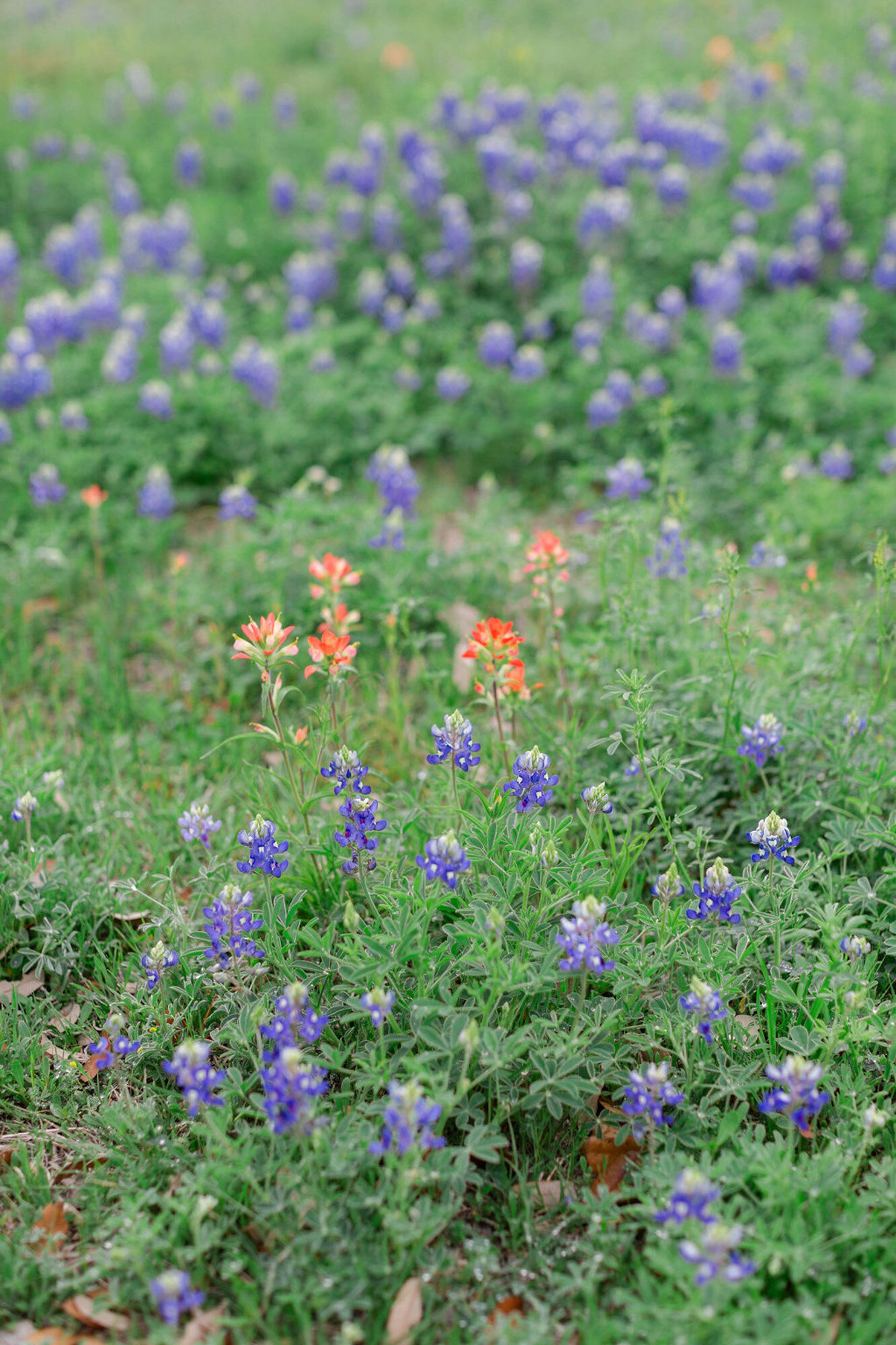 Kelsey-and-Jason-March-2024-wedding-at-Ma-Maison-wedding-venue-in-Austin-05