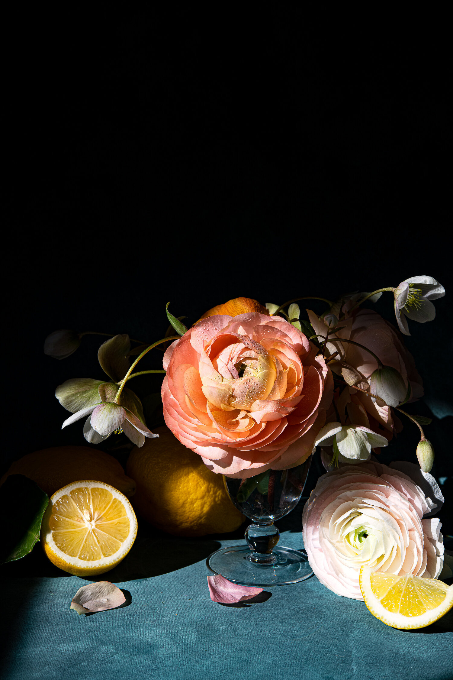 DSC_4716-Edit