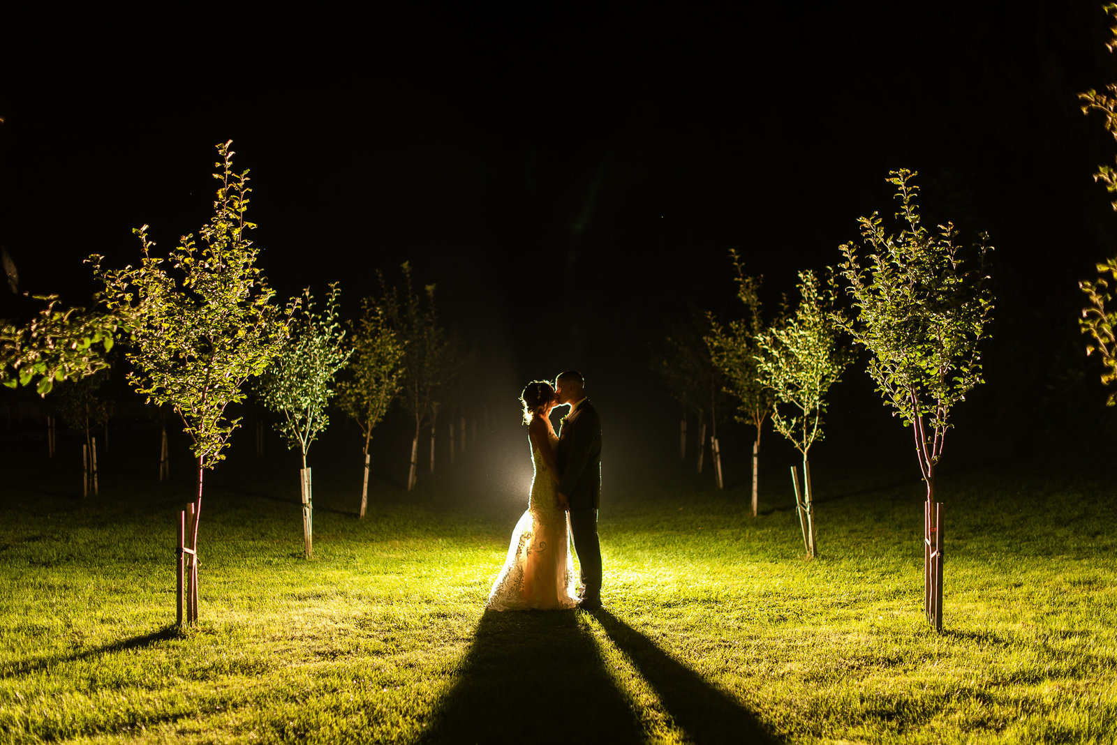 Backlit yellow photo of bride and groom in apple orchard