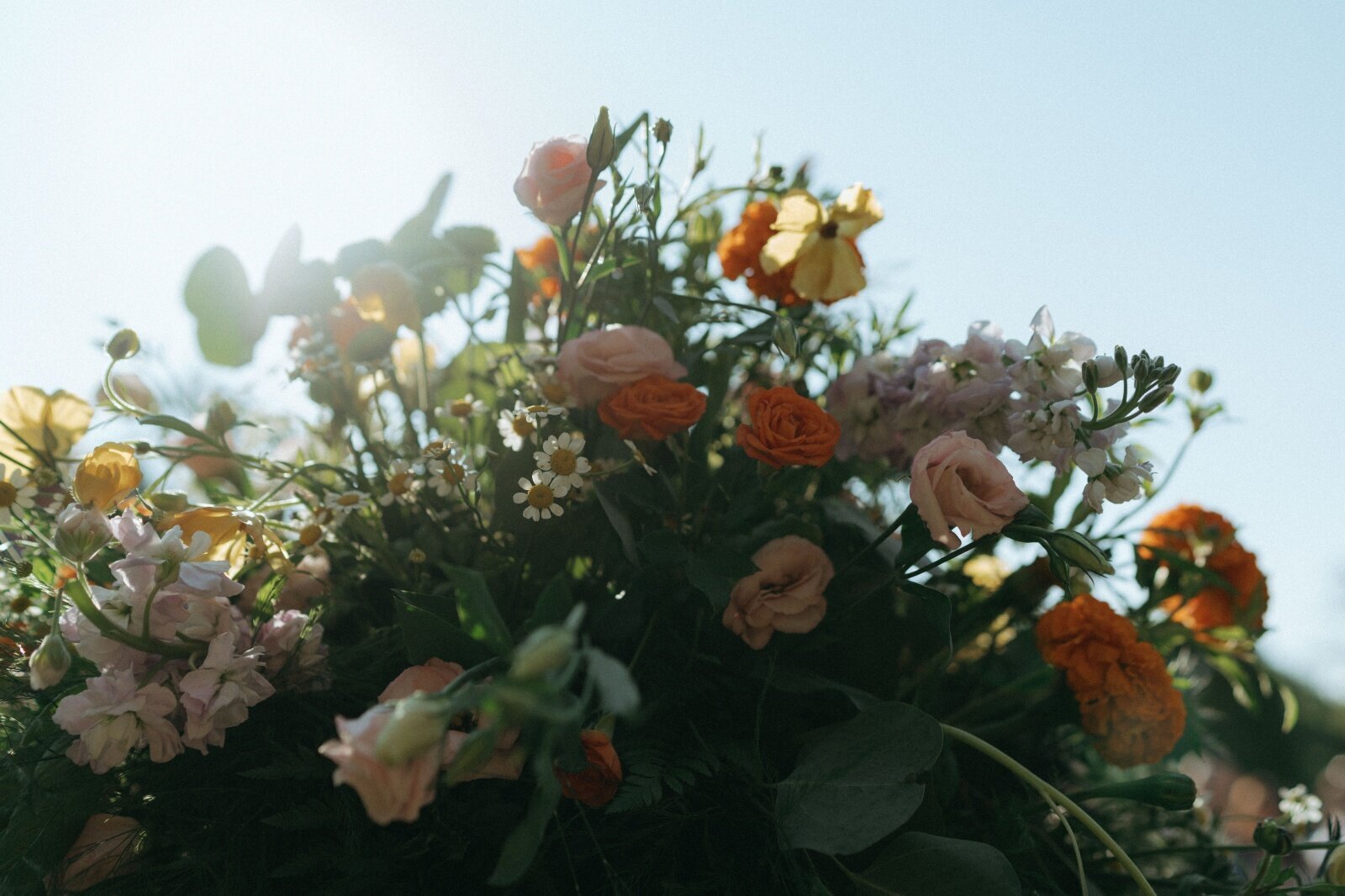 florals by elsie goodman photography, wedding photography prices